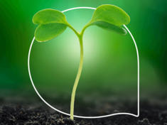 A greener tomorrow