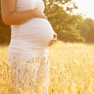 pregnancy pregnancy