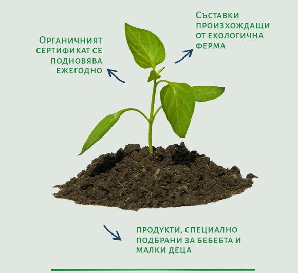 bg_bg_gerber_bc_plant_img bg_bg_gerber_bc_plant_img