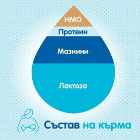 състав на кърмата състав на кърмата