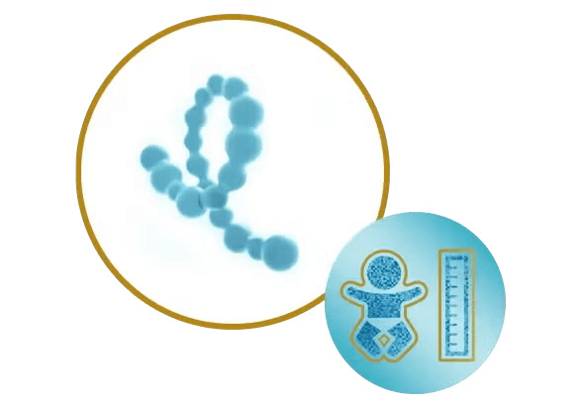 high_quality_proteins_icon high_quality_proteins_icon