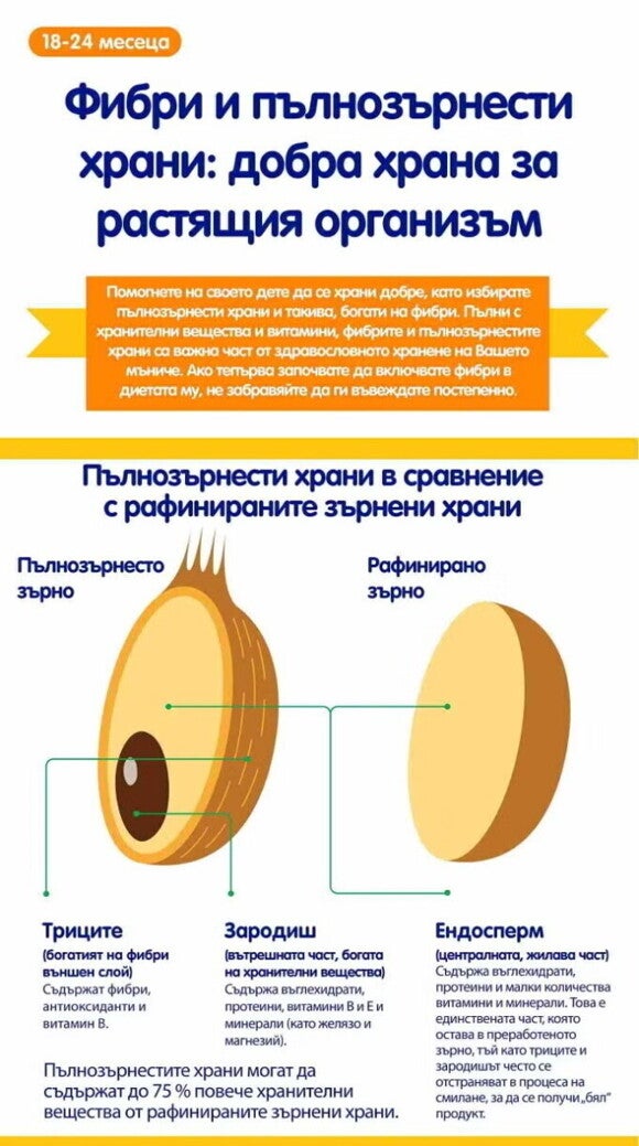 Пълнозърнести и богати на фибри храни за подрастващо дете